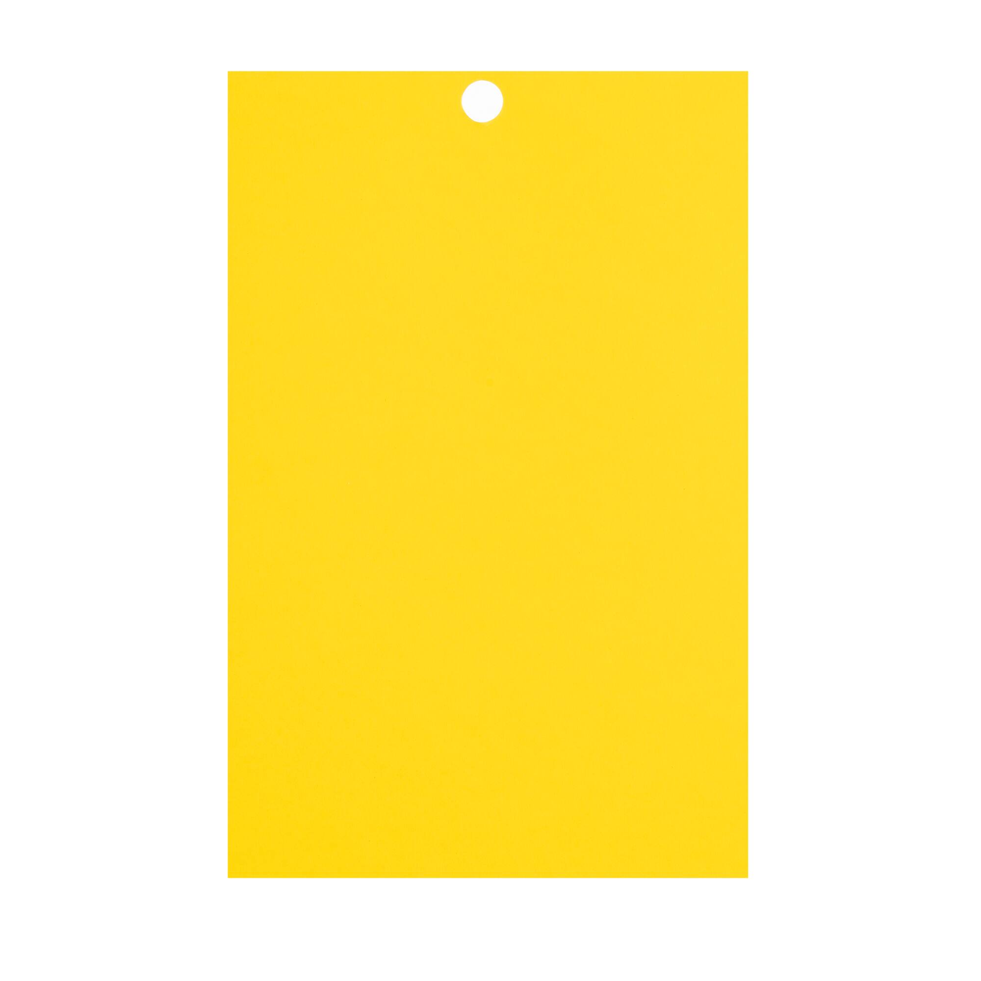 Primary 4.5" x 7" Cardstock Paper by Recollections™, 100 Sheets